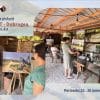 KREATOR ART – Dobrogea: la granița dintre peisaj, memorie și experiență artistică